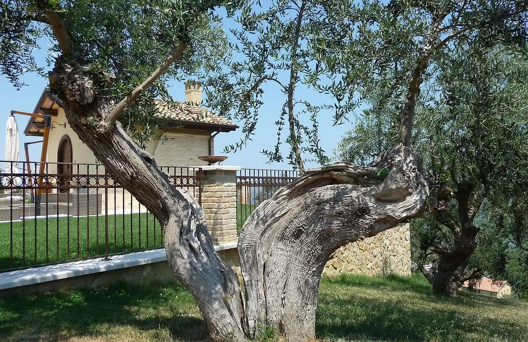 Borgo Fonte Scura-1